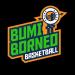 婆罗洲犀鸟